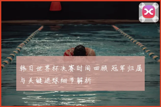韩日世界杯决赛时间回顾 冠军归属与关键进球细节解析