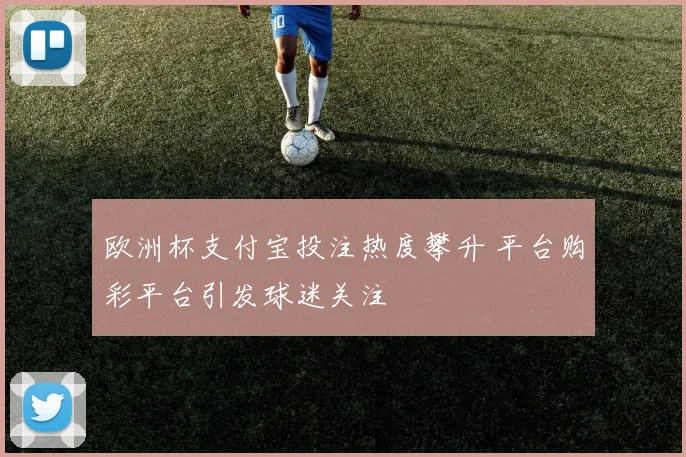 欧洲杯支付宝投注热度攀升 平台购彩平台引发球迷关注