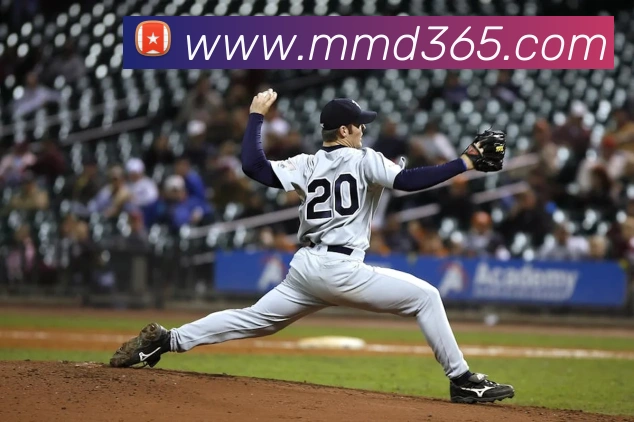 企业概况
