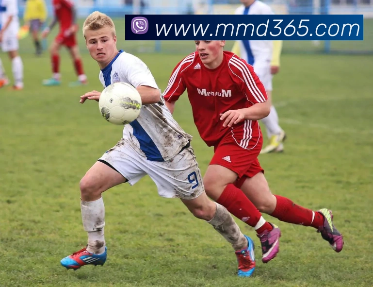 leyu乐鱼手机官网APP 封面图